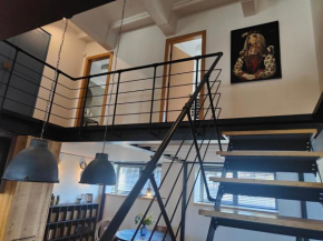 Spacious and Luxury Designer Loft in newly renovated building SOHO LOFTS , Vilnius, Vilnius